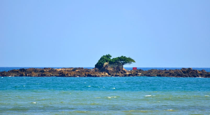 Snake Island